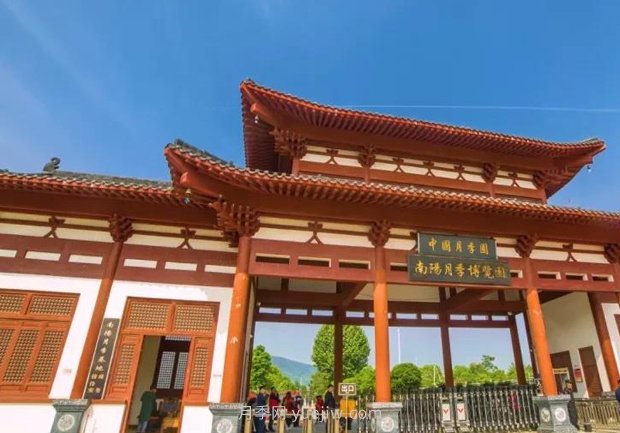 中國月季園千畝月季花開，南陽月季人間仙境打卡圣地(圖2)