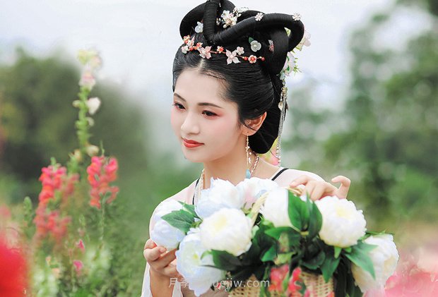 中國月季園千畝月季花開，南陽月季人間仙境打卡圣地(圖5)