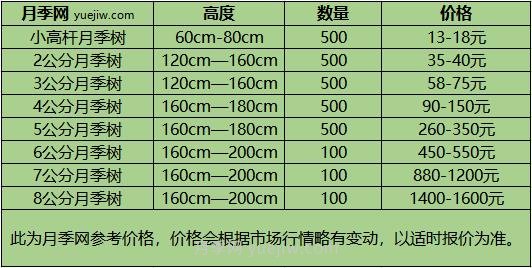 1-10公分月季樹價(jià)格是多少？樹狀月季5月報(bào)價(jià)單！(圖1)