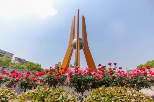 四月盛放的月季時(shí)間，湖北宜昌給你的專屬浪漫花園(圖3)