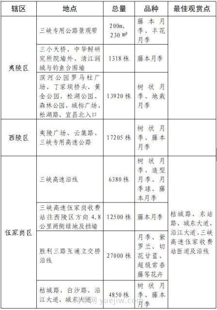四月盛放的月季時(shí)間，湖北宜昌給你的專屬浪漫花園(圖9)