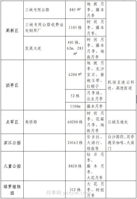 四月盛放的月季時(shí)間，湖北宜昌給你的專屬浪漫花園(圖10)