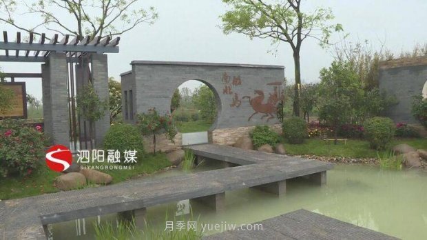 第十一屆中國(guó)月季展覽會(huì)：走進(jìn)淮安展園(圖5)