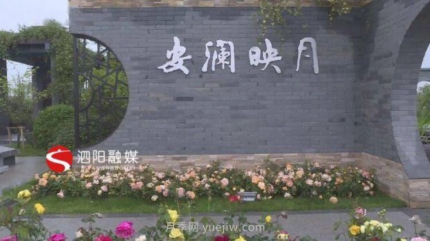 第十一屆中國(guó)月季展覽會(huì)：走進(jìn)淮安展園(圖2)