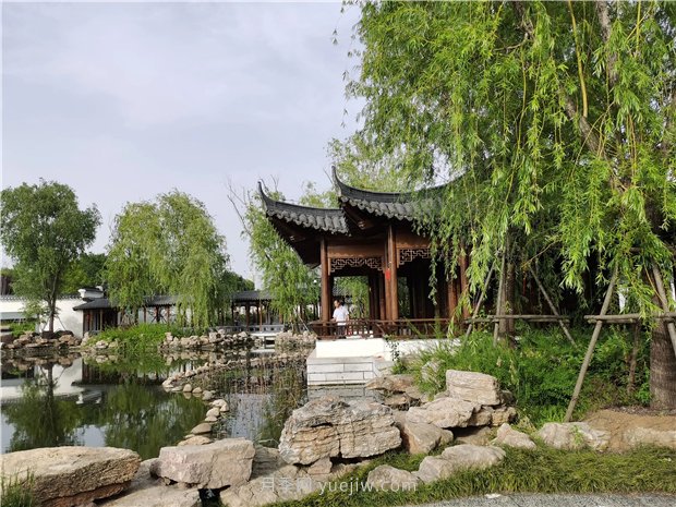 南陽世界月季大觀園規(guī)模真大，快來過把月季花癮(圖3)