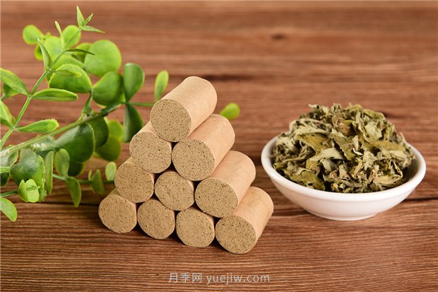 南陽宛艾產(chǎn)業(yè)協(xié)會舉辦艾草研討會，把宛艾做成中國名片(圖1)