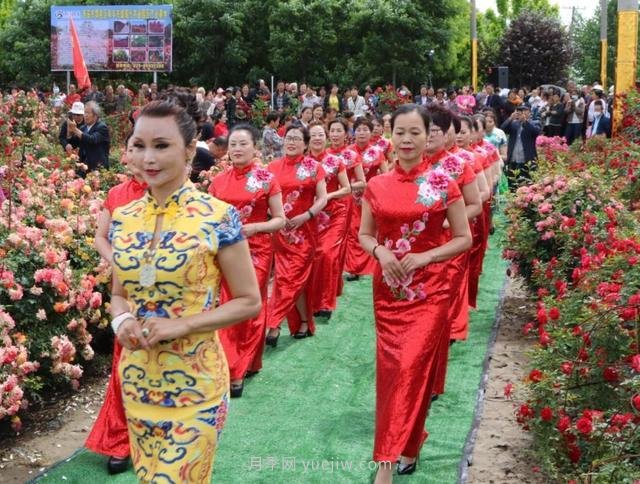 西安鄠邑區(qū)首屆月季花節(jié)開幕，爭(zhēng)奇斗艷迎賓客(圖1)