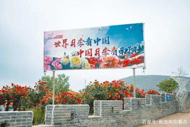 南陽月季博覽園本周憑本人南陽身份證可免費(fèi)游園(圖1)