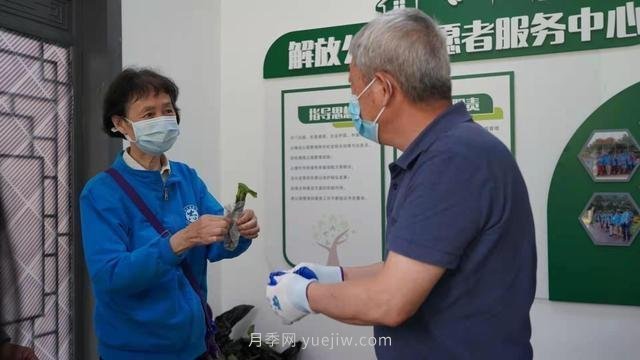 送你一枝月季，許你一束繁花，武漢百余市民領(lǐng)到月季扦插枝條(圖1)
