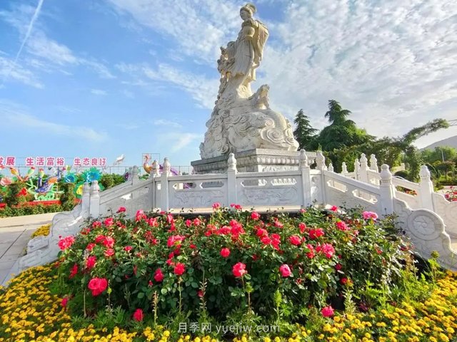 南陽月季博覽園，6月份全月免門票！(圖2)