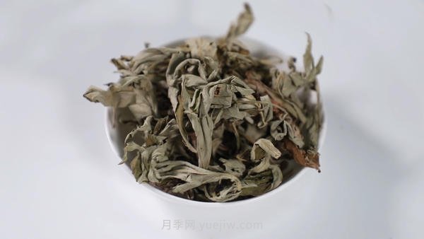 南陽艾草產(chǎn)業(yè)蓬勃發(fā)展的背后原因是為什么？(圖1)