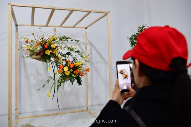 ***走進(jìn)這片花海，南陽(yáng)月季產(chǎn)業(yè)生態(tài)富民(圖6)