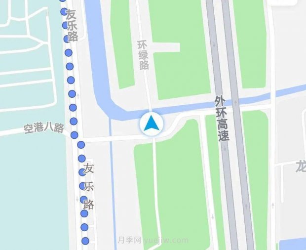 月季成墻、繡球綻放……上海長寧外環(huán)林帶生態(tài)綠道花開正艷(圖9)