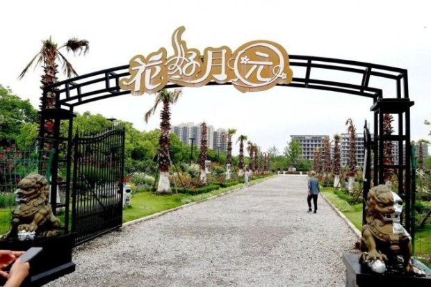 上海閔行區(qū)花好月園公園，萬株月季怒放快來品(圖1)