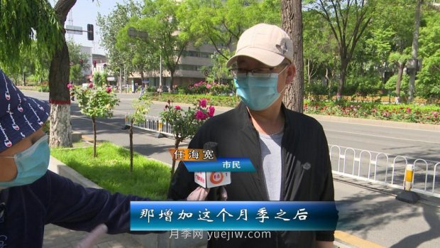 太原三百萬株月季玫瑰盛開，許你一座浪漫之都(圖3)