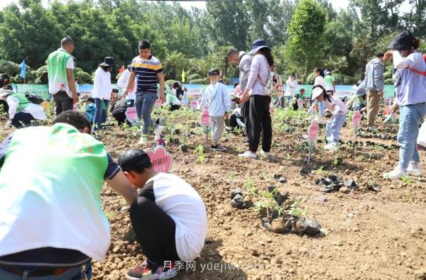 漯河城管園林科研所，邀請(qǐng)400余位市民花田體驗(yàn)栽花(圖3)