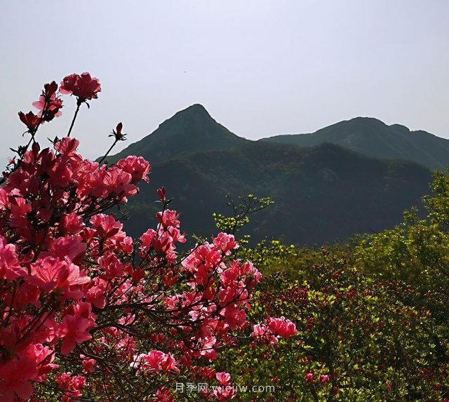 桐柏縣，淮河之源 坐標(biāo)桐柏山(圖2)