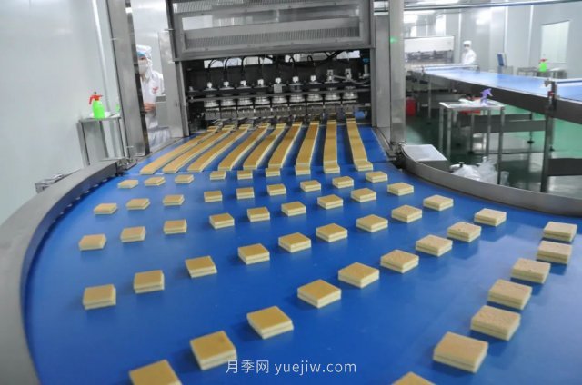 漯河打造農(nóng)業(yè)全產(chǎn)業(yè)鏈，實(shí)現(xiàn)航母級(jí)產(chǎn)業(yè)(圖3)