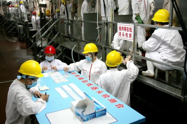 漯河打造農(nóng)業(yè)全產(chǎn)業(yè)鏈，實(shí)現(xiàn)航母級(jí)產(chǎn)業(yè)(圖4)