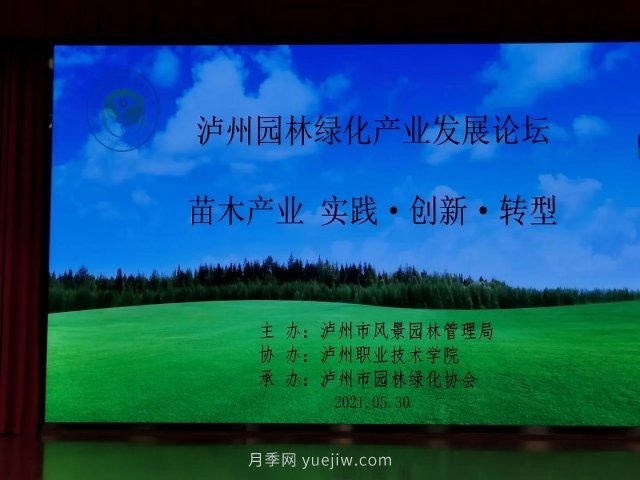 瀘州園林綠化產(chǎn)業(yè)發(fā)展論壇召開，大伽把脈苗木行業(yè)(圖2)