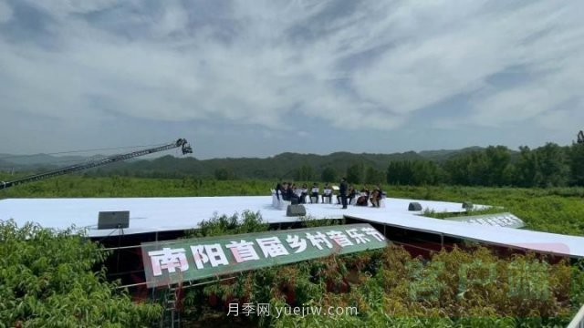 內(nèi)鄉(xiāng)縣赤眉油桃豐收，南陽首屆鄉(xiāng)村音樂節(jié)助力農(nóng)旅脈動(dòng)(圖2)