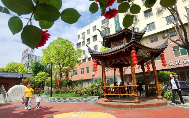 南陽臥龍崗街道，廢墟變游園，月季景優(yōu)美(圖2)