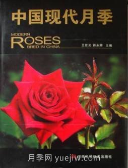 月季圖書：王世光，薛永卿《中國現(xiàn)代月季》(圖2)