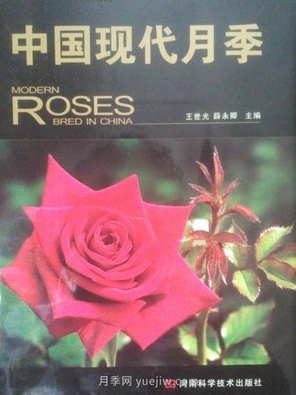 月季圖書：王世光，薛永卿《中國現(xiàn)代月季》(圖1)