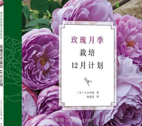 月季圖書(shū)：小山內(nèi)健《玫瑰月季栽培12月計(jì)劃》(圖1)