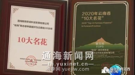 通海錦海農業(yè)“初心月季”榮獲“中國好品種”稱號(圖2)