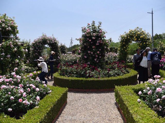 城市公園中使用綠雕應該注意哪些問題？(圖1)