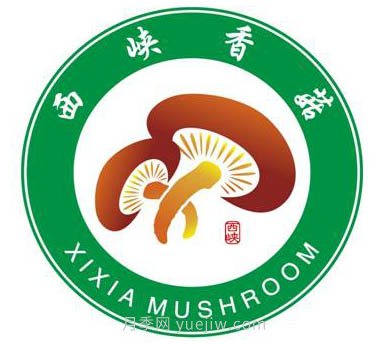 南陽西峽：發(fā)展菌果藥特色產(chǎn)業(yè) 全力推進(jìn)鄉(xiāng)村振興(圖1)