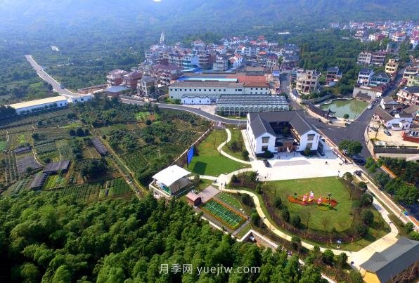 紹興漓渚鎮(zhèn)：一株花木如何成就了國家級田園綜合體？(圖1)
