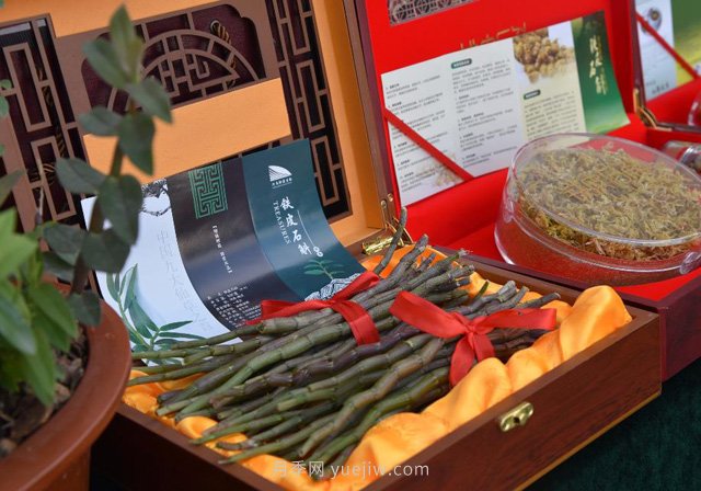 華潤(rùn)三九赴南召縣開展中藥材產(chǎn)業(yè)調(diào)研(圖1)