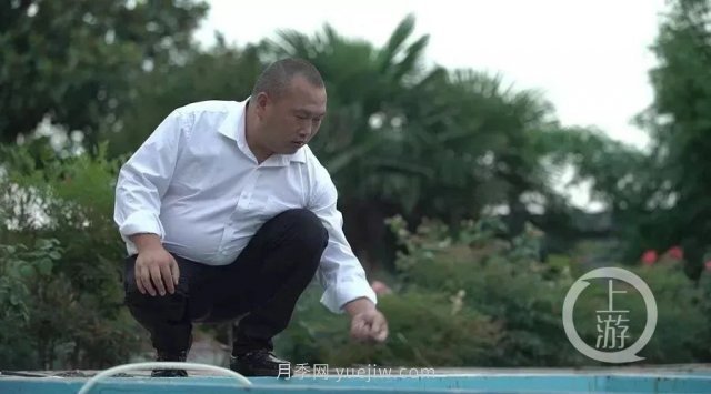 南陽(yáng)鎮(zhèn)平：“中國(guó)錦鯉**村”的三代養(yǎng)魚人(圖2)
