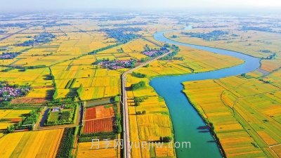 駐馬店農業(yè)：國際農都氣如虹(圖1)