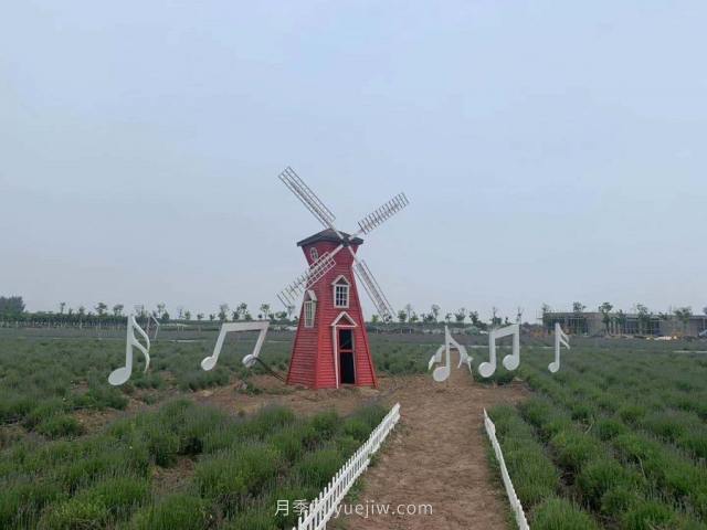 聊城芳香文化博覽園，鄉(xiāng)村振興巾幗示范基地(圖3)