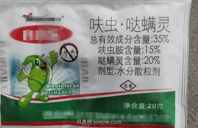 7月月季常爆發(fā)這3種蟲害，對癥下藥無煩惱(圖7)