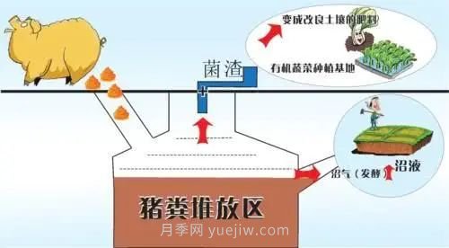 中國生態(tài)農(nóng)業(yè)的主要模式(圖2) 中國生態(tài)農(nóng)業(yè)的主要模式(圖2)