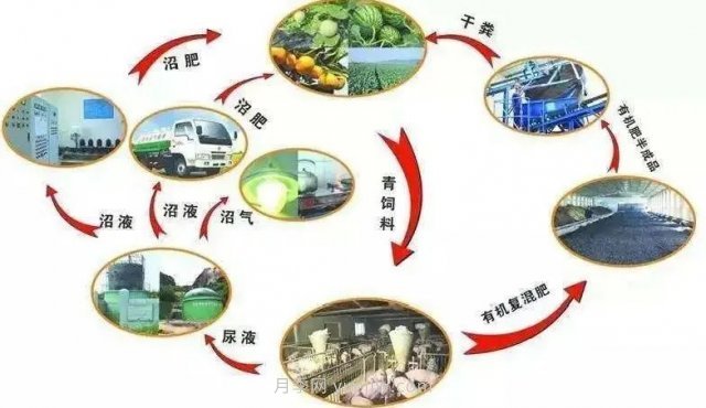 中國生態(tài)農(nóng)業(yè)的主要模式(圖3) 中國生態(tài)農(nóng)業(yè)的主要模式(圖3)