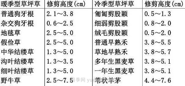景觀草坪修剪全攻略，實(shí)用干貨分享(圖2)