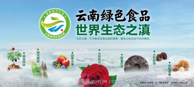 第三屆云果會盛大開幕，助力云南打造世界一流綠色食品牌(圖1)