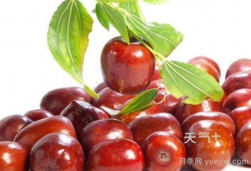 南陽市淅川縣的出名特產(chǎn)有哪些？(圖4)