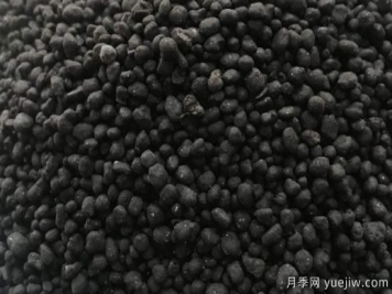 生物肥和有機肥有什么不同