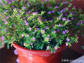 “厚德載物”是哪幾德，你知道嗎？漲知識(shí)！
