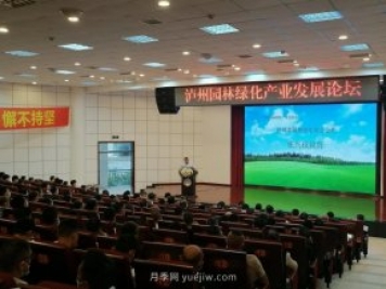瀘州園林綠化產(chǎn)業(yè)發(fā)展論壇召開，大伽把脈苗木行業(yè)