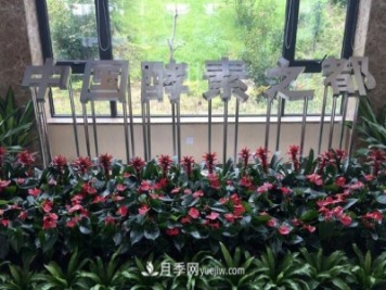 南召縣打造中國(guó)酵素之都 產(chǎn)品占全國(guó)市場(chǎng)三分之一