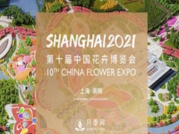 5月，第十屆中國花博會將在崇明拉開帷幕