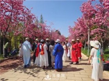 定位為月季主題公園，昆明呈貢區(qū)將集中打造彩云公園