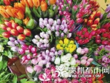 貴陽近期鮮花漲價(jià) 玫瑰花賣到70元一把